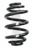 SPIDAN 86789 Coil Spring